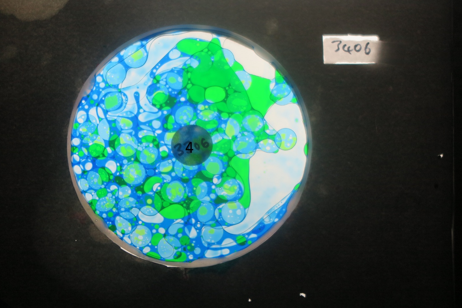 BV3406 bubble vision oil wheel